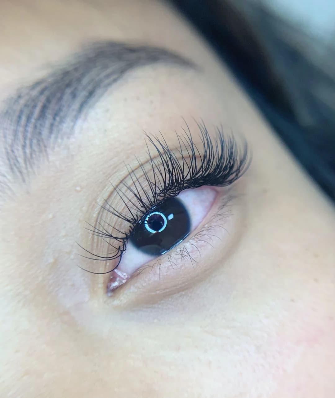 Classic Lashes