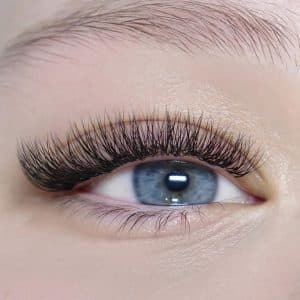 Volume Lashes